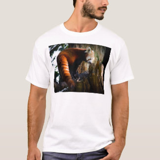 Camiseta panda roja inquisitiva