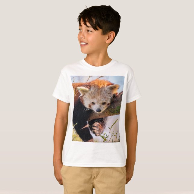 Camiseta Panda rojiza perezosa (Anverso completo)