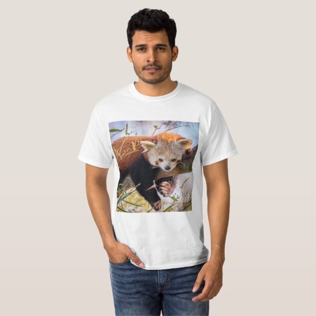 Camiseta Panda rojiza perezosa (Anverso completo)