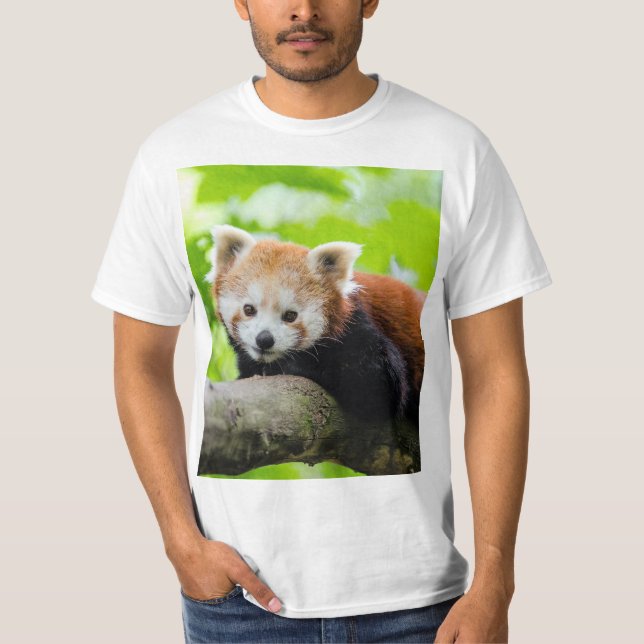 Camiseta Panda rojo (Anverso)