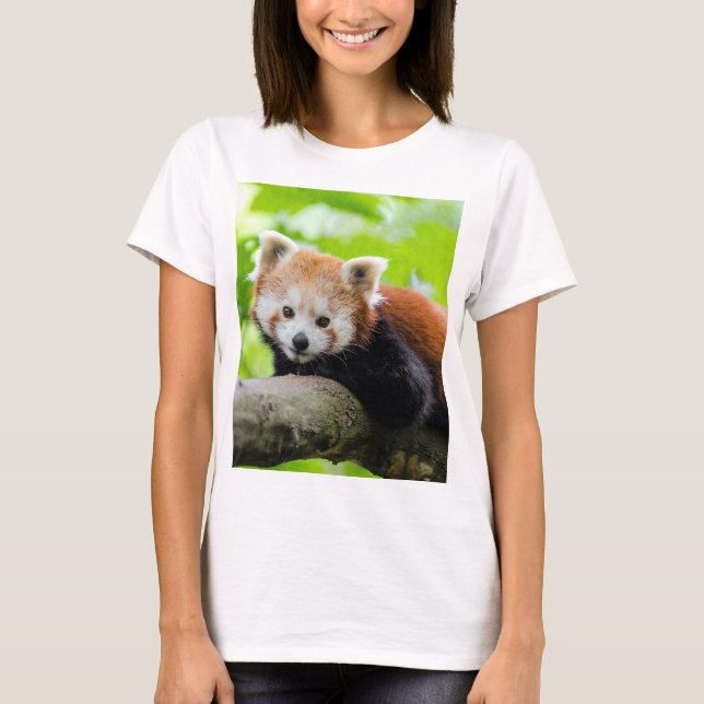 Camiseta Panda rojo (Anverso)