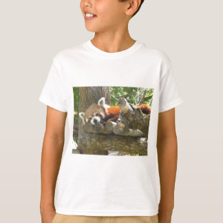 Camiseta panda rojo