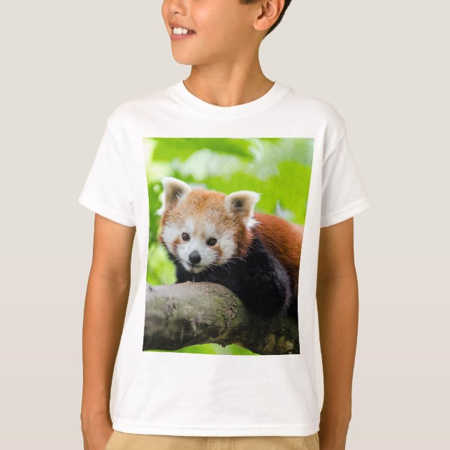 Camiseta Panda rojo (Anverso)