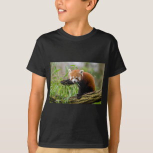 Camiseta Panda rojo comiendo hoja verde