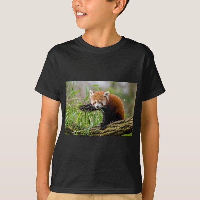 Camiseta Panda rojo comiendo hoja verde (Anverso)
