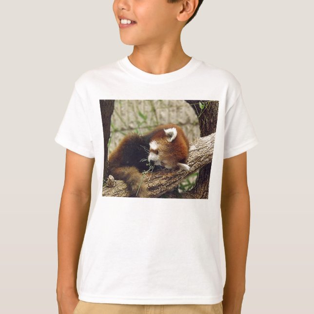 Camiseta Panda rojo durmiente suave con comida en boca (Anverso)