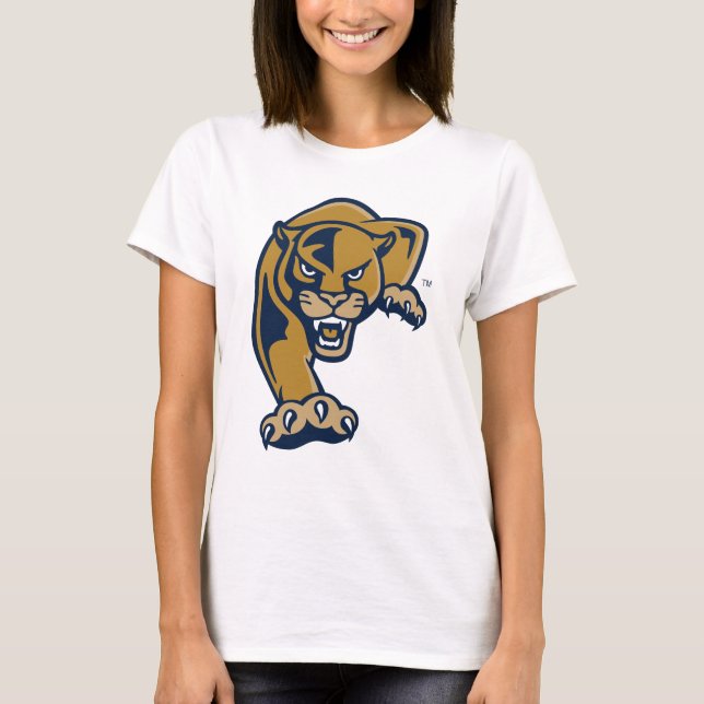Camiseta Paneles Universitarios Internacionales de Florida (Anverso)