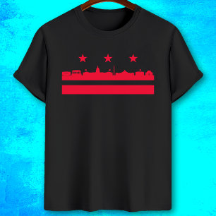Camiseta Panorama de Washington DC