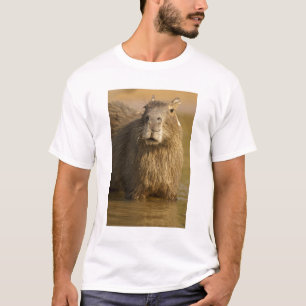 Camiseta Pantanal, Brasil, Capibara, Hydrochoerus
