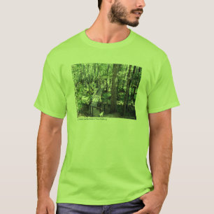 Camiseta Pantano de Cypress en la ruta verde del rastro de