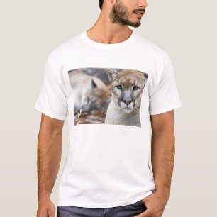 Camiseta Pantera de Florida