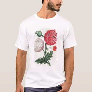 Camiseta Papaver - somniferum y rheas del Papaver grabados
