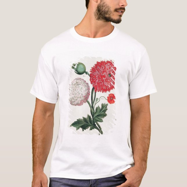 Camiseta Papaver - somniferum y rheas del Papaver grabados (Anverso)