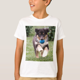 Camiseta Papel de pastor de pastor australiano de tres colo
