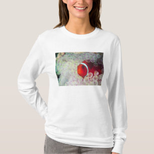 Camiseta Papúa Nueva Guinea, Gran Barrera de Coral,