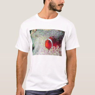 Camiseta Papúa Nueva Guinea, Gran Barrera de Coral,