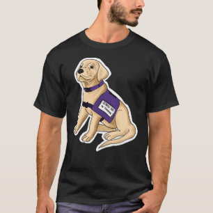 Camiseta Paquete de servicio de laboratorio amarillo