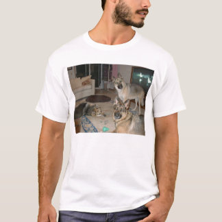 Camiseta Paquete en descanso