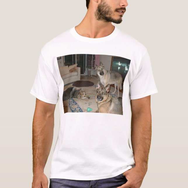 Camiseta Paquete en descanso (Anverso)
