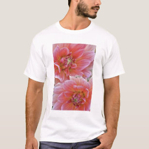 Camiseta Par de flores de Dalia, Dahlia spp. ,