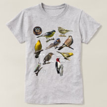 Camiseta para aves