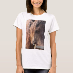 Camiseta para caballos