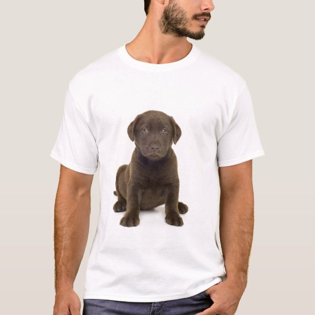 Camiseta para hombre de Labrador del chocolate (Anverso)