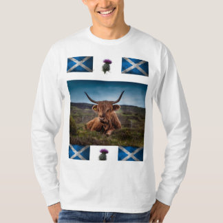 Camiseta para hombres