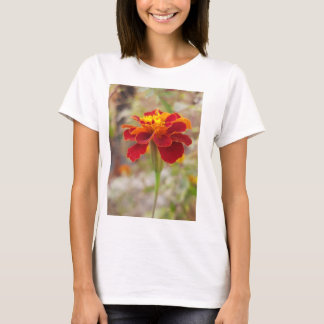 Camiseta para la compañía ledy