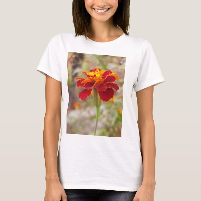 Camiseta para la compañía ledy (Anverso)