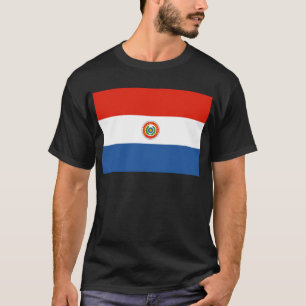 Camiseta Paraguay