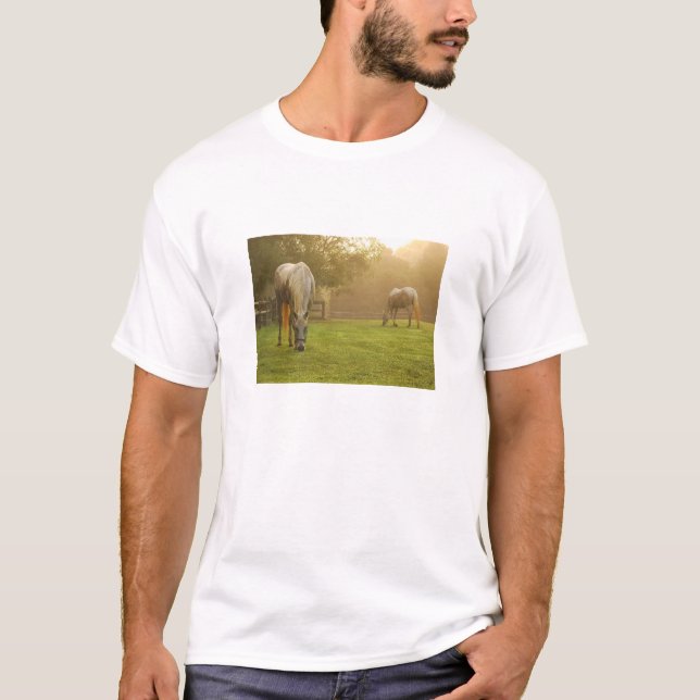 Camiseta Paraíso de los amantes del caballo (Anverso)