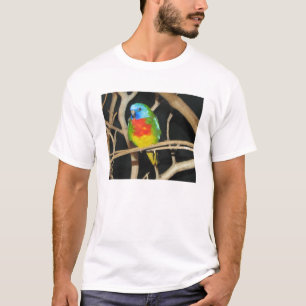 Camiseta Parakeet Escarlata-De pecho - splendida de