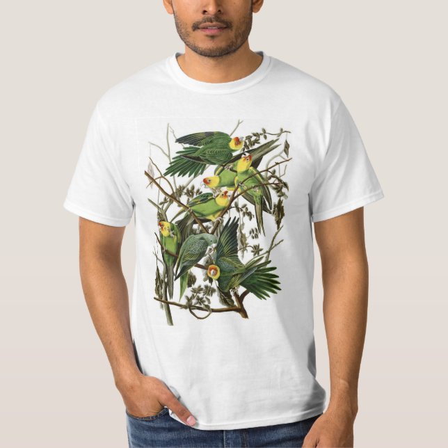 Camiseta Parakeets de Carolina de Audubon (Anverso)