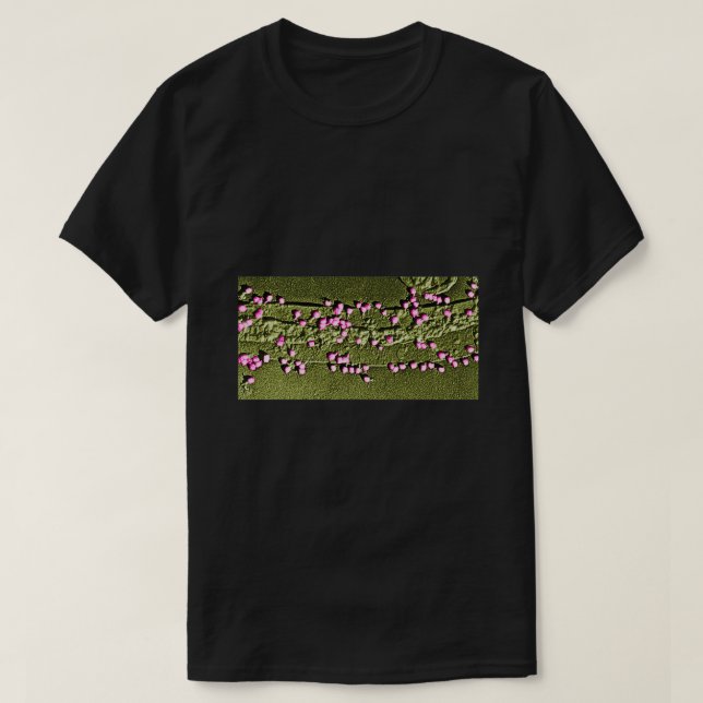 Camiseta Pared de células E Coli con bacteriófagos 1 (Diseño del anverso)