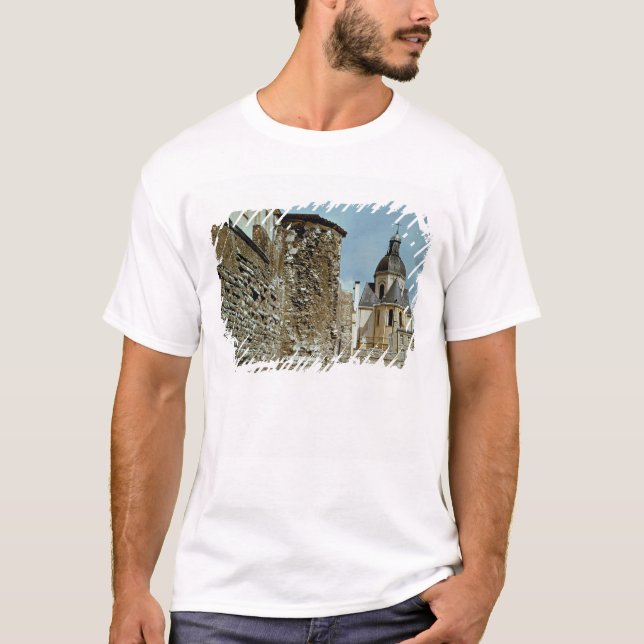 Camiseta Pared de DES Jardins de la ruda de Felipe Auguste (Anverso)