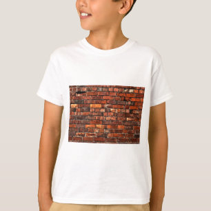 Camiseta Pared de ladrillo