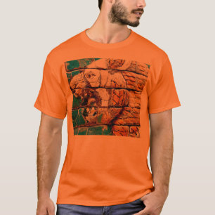 Camiseta Paredes de Babilonia