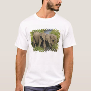 Camiseta Pareja de elefantes africanos Masai Mara