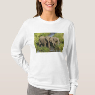 Camiseta Pareja de elefantes africanos Masai Mara