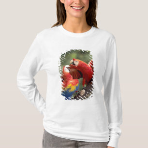 Camiseta Pareja de guacamayos escarlata