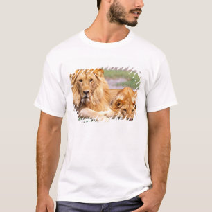 Camiseta Pareja de Leones Africanos, Panthera leo, Tanzania