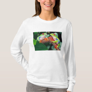 Camiseta Pareja de ranas de ojos rojos, Agalychinis callidr