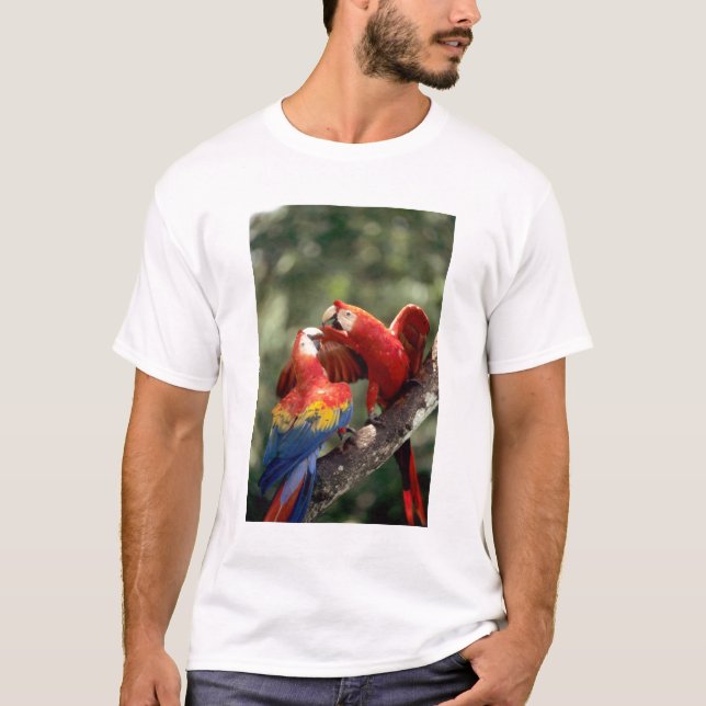 Camiseta Pareja de Scarlet Macaws (Anverso)