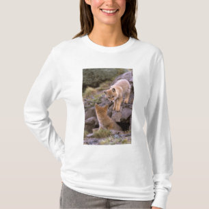 Camiseta Pareja de zorro gris sudamericano (Lycalopex grise