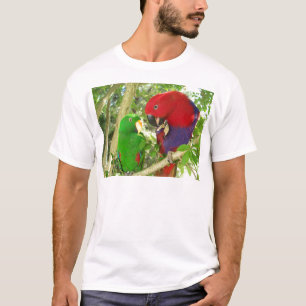 Camiseta Pares de Eclectus