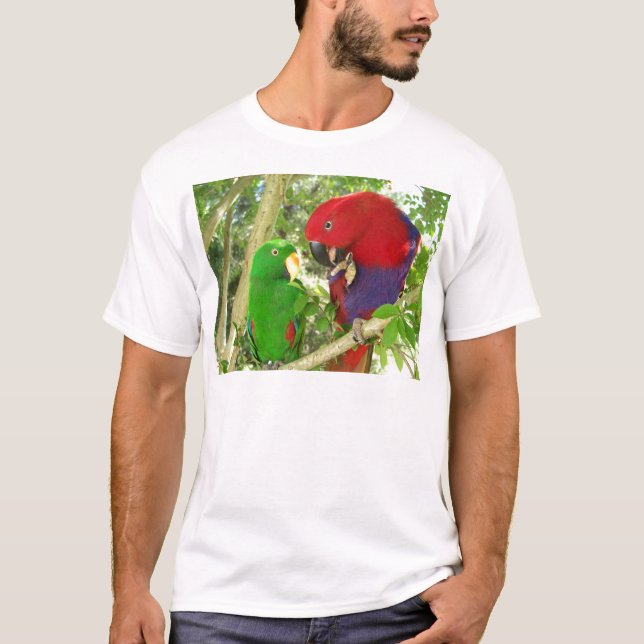 Camiseta Pares de Eclectus (Anverso)