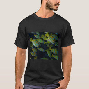 Camiseta Pargos de rayas azules