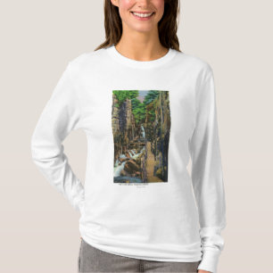 Camiseta Parque de estado de la muesca de Franconia