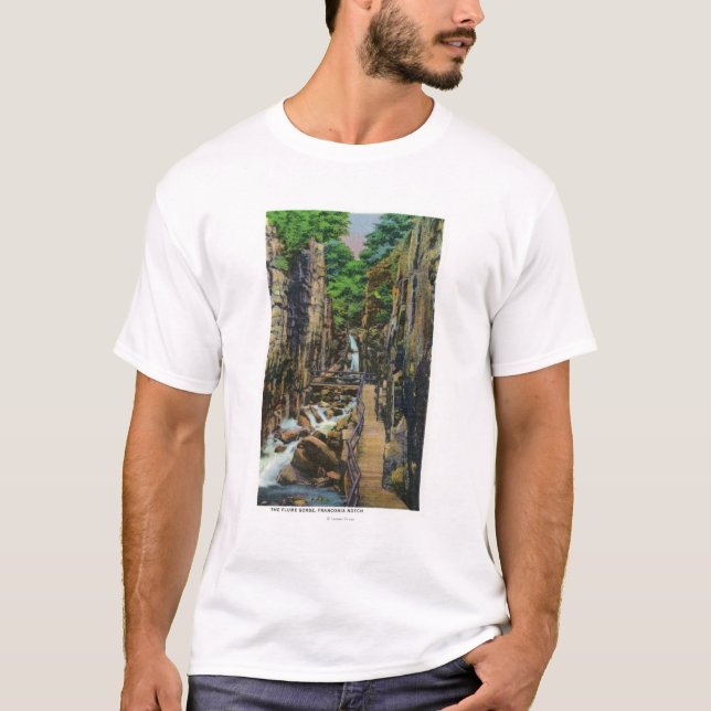 Camiseta Parque de estado de la muesca de Franconia (Anverso)